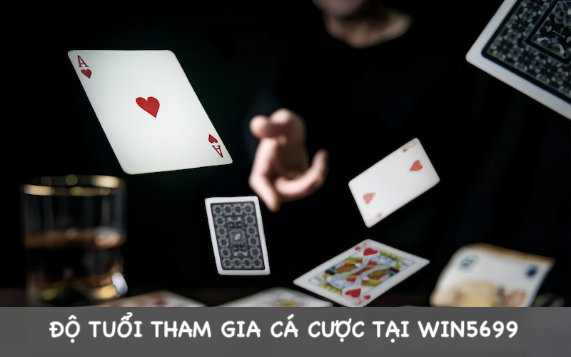 Độ tuổi tham gia 5699