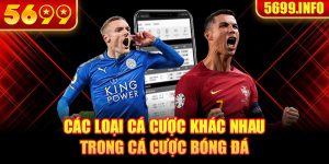 các loại cá cược khác nhau trong cá cược bóng đá