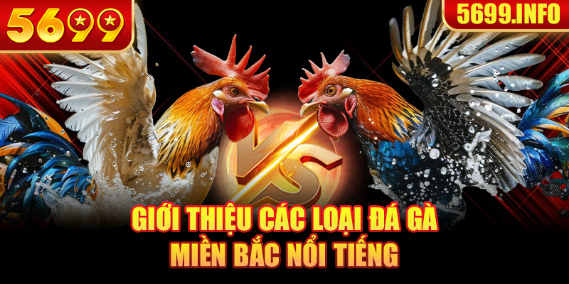 Giới thiệu các loại đá gà miền Bắc nổi tiếng