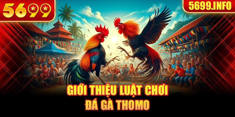 Giới thiệu luật chơi đá gà Thomo 