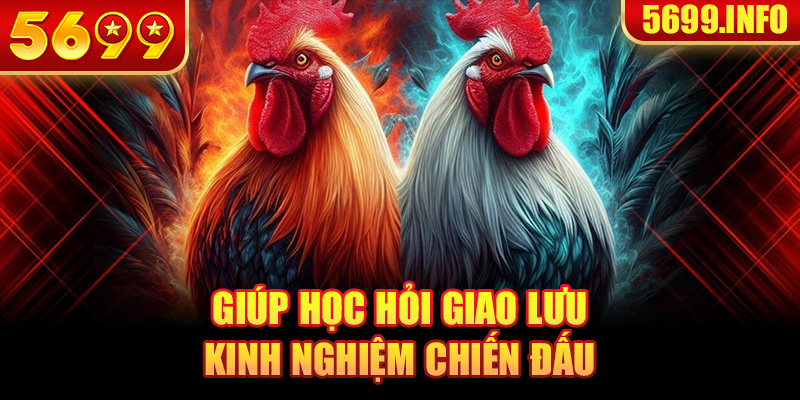 Giúp học hỏi giao lưu kinh nghiệm chiến đấu