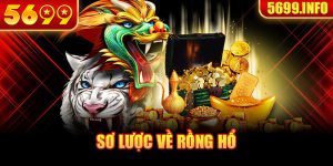 Sơ lược về rồng hổ