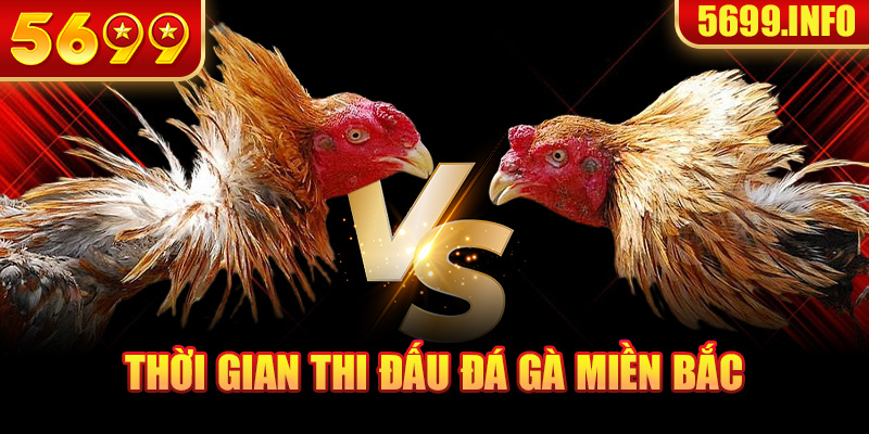 Thời gian thi đấu đá gà miền Bắc