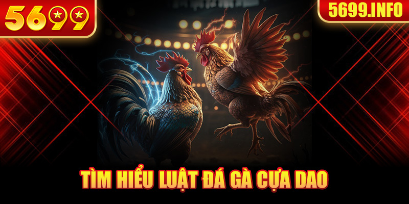 Tìm hiểu luật đá gà cựa dao