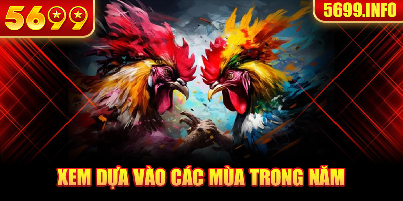 Xem dựa vào các mùa trong năm